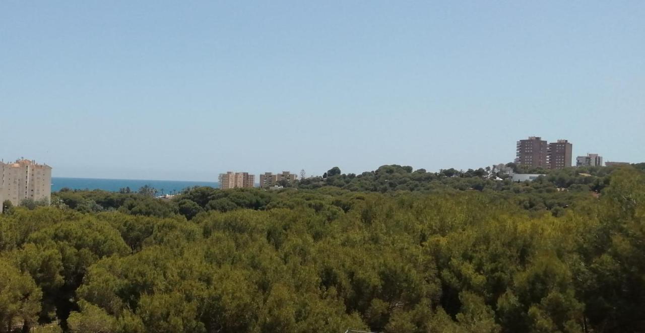 Campoamor Seaview Buitenkant foto